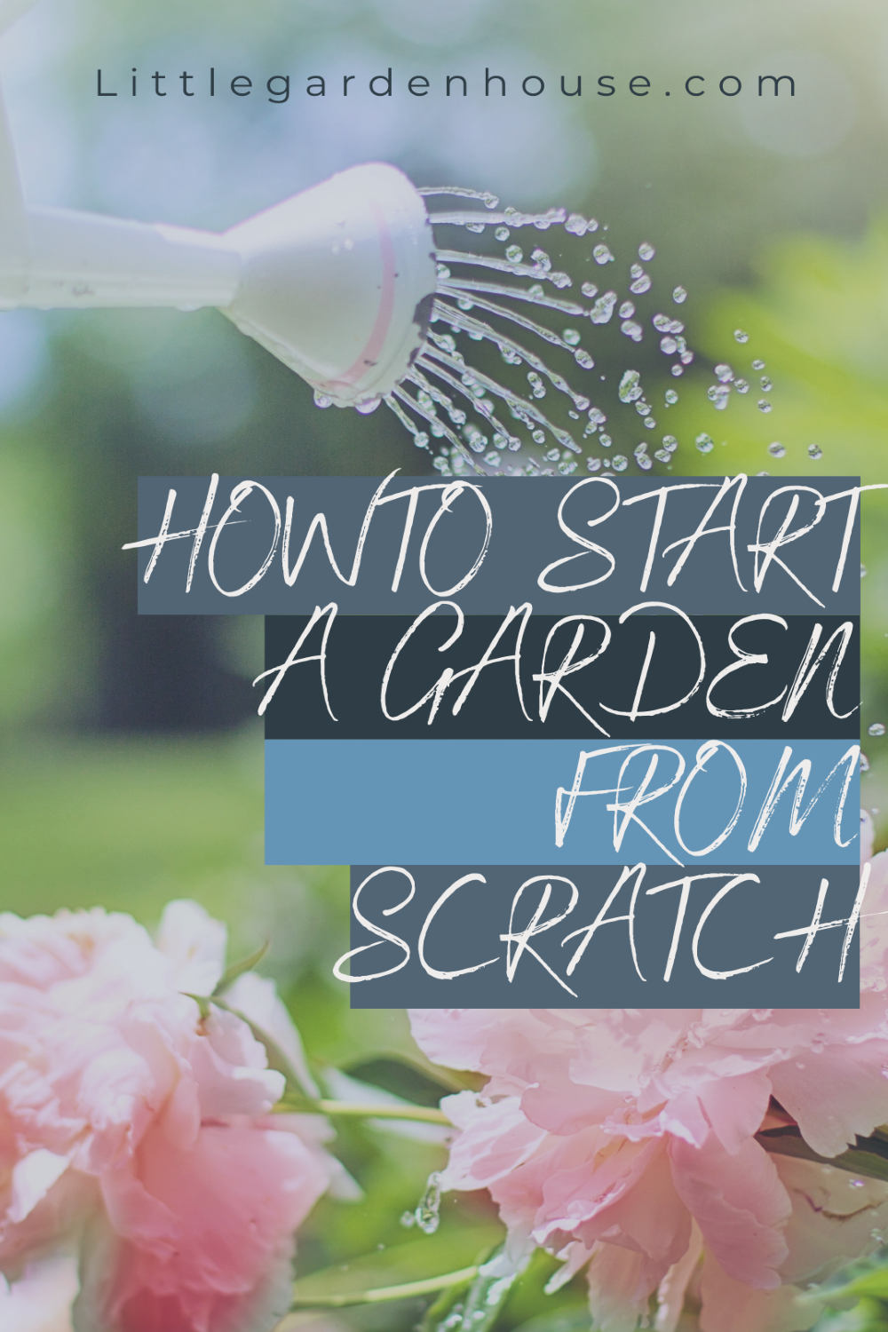 How to Start a Garden from scratch – 5 steps for Success