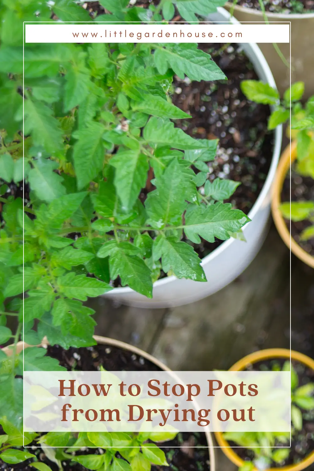 How to Stop Pots from Drying Out