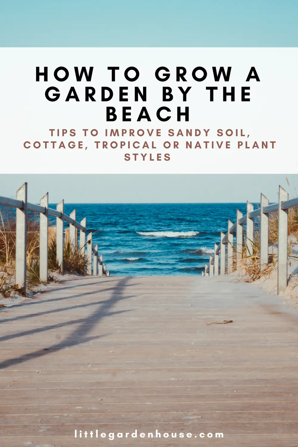 How to Grow a Garden by the Beach