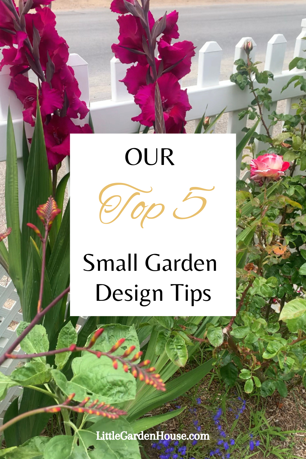 Our Top Small Garden Design Tips