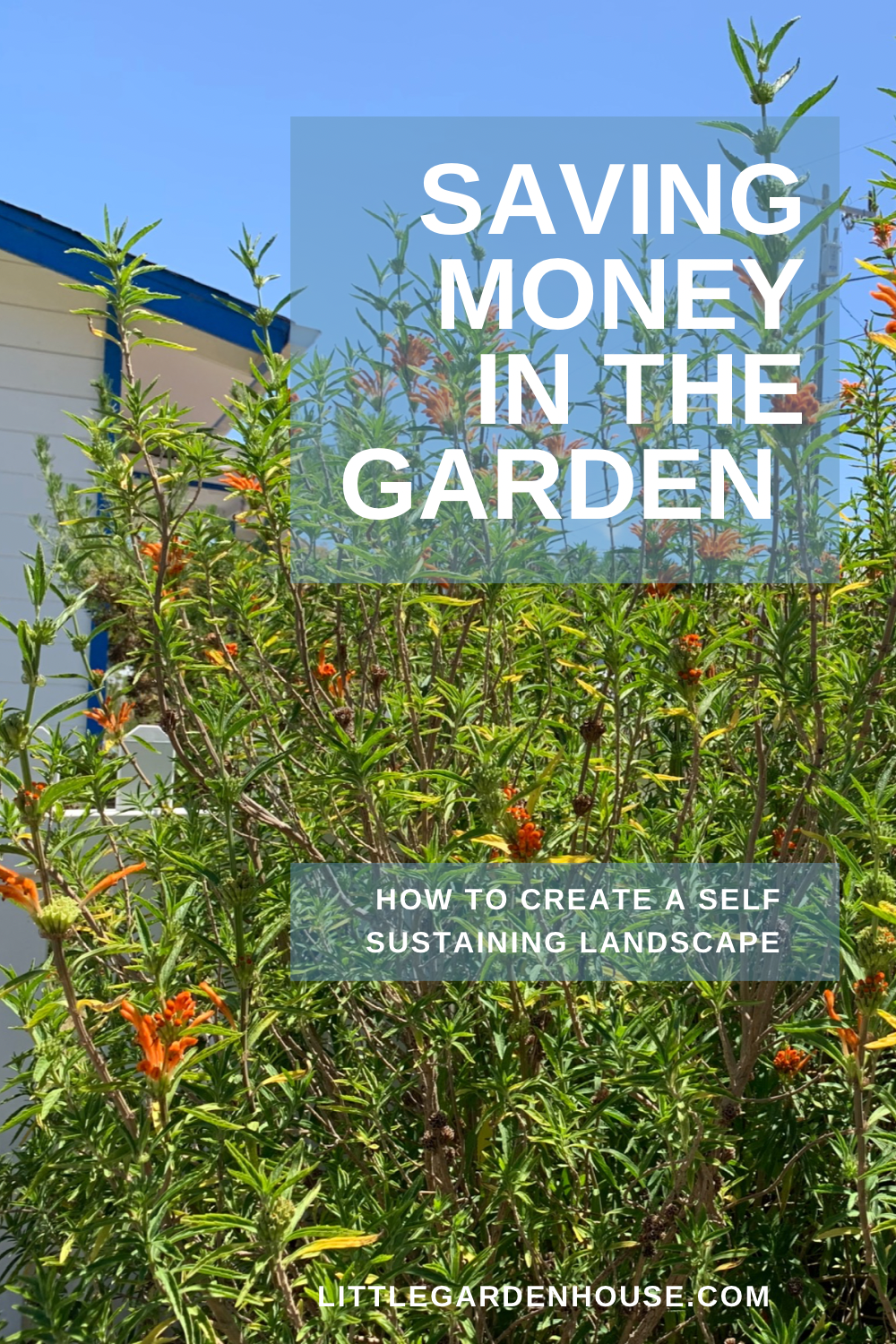 How to Save Money in the Garden by creating a self sustaining landscape