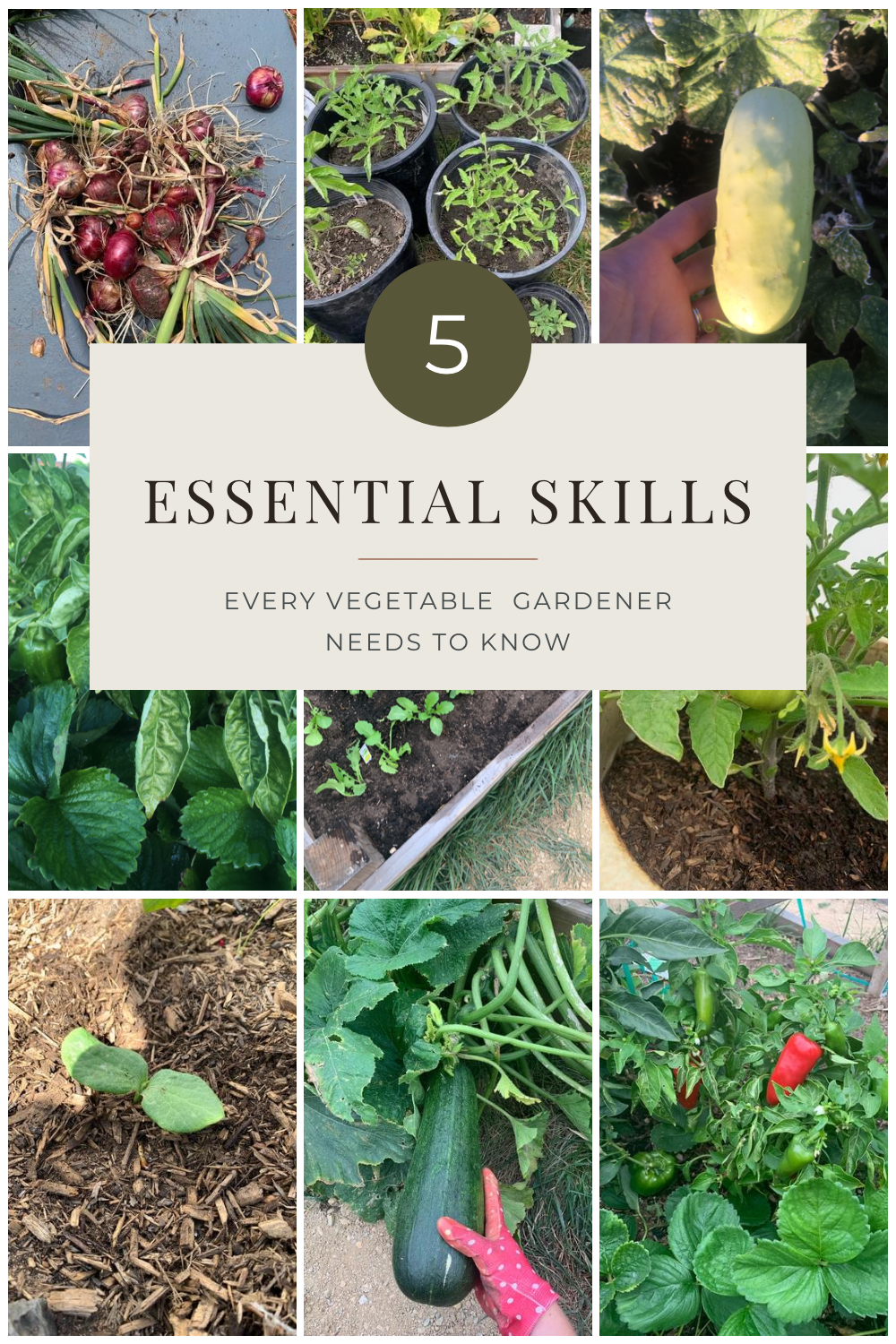 5 essential skills every vegetable gardener needs to know