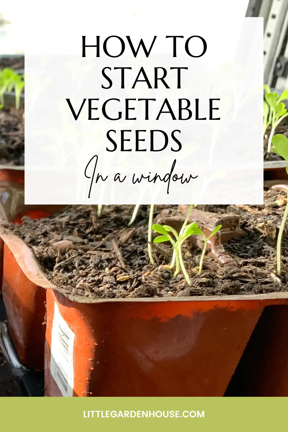 How to Start Vegetable Seeds in a Window