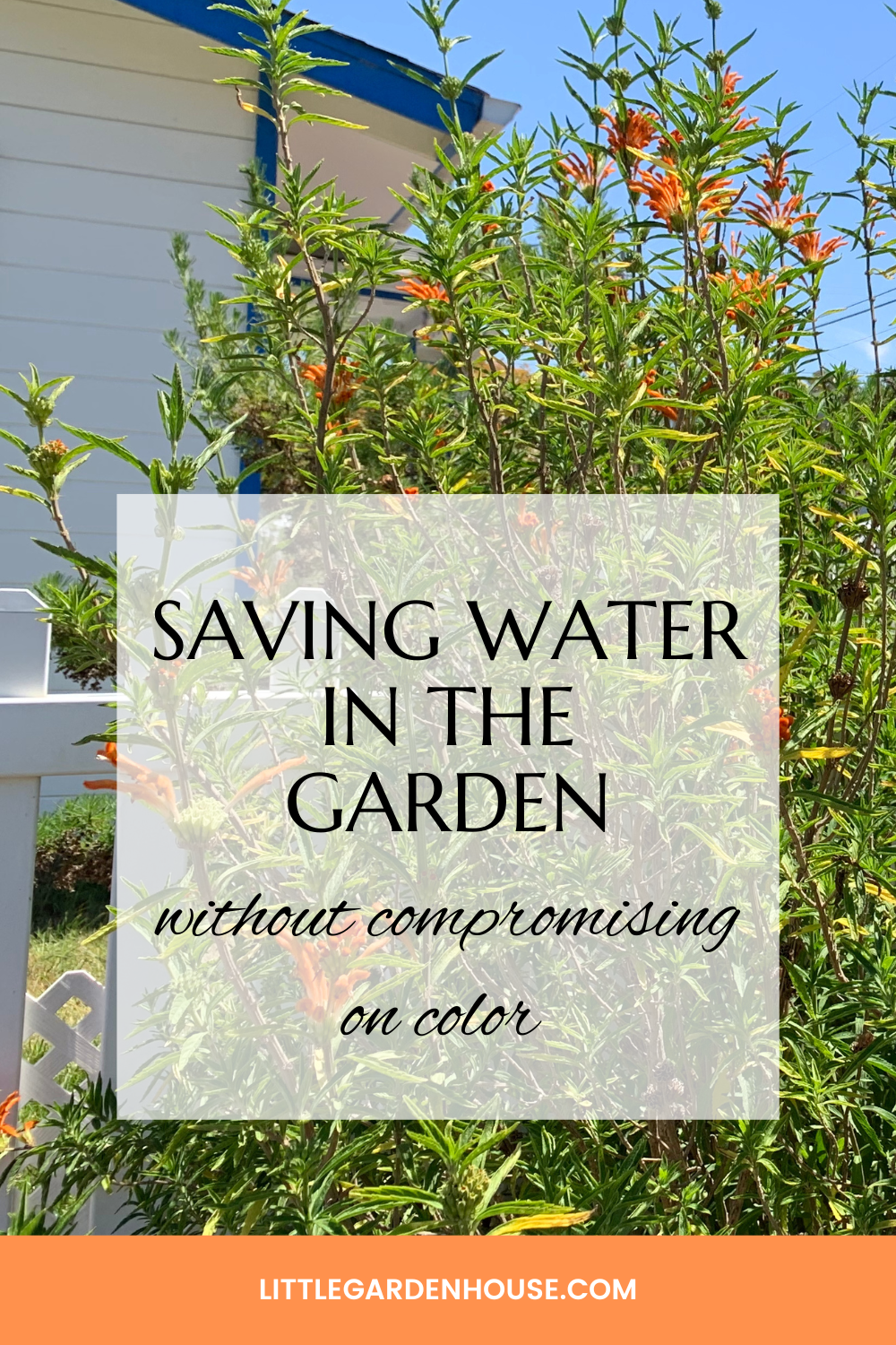 How to Save Water in the Garden without Compromising on Color